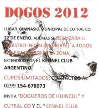 Imagen destacada del artículo «Exposición Patagonica "DOGOS 2012"»
